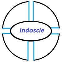 Indoscie Infotech logo - Similar company to Indoscie Technologies