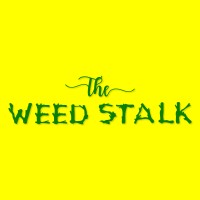 The Weed Stalk LLC. logo - Similar company to Clutch Plug