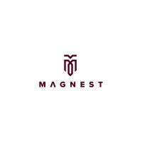 Magnest logo - Similar company to Lima Creativa