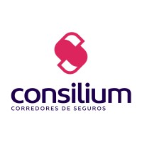 Consilium Corredores de Seguros logo - Similar company to Quality Professional Software S.A.C