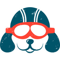 FlyDog Digital logo - Similar company to +Change Network