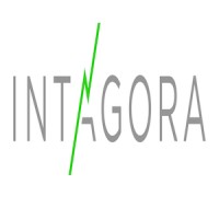 Intagora, LLC logo - Similar company to Mersenne