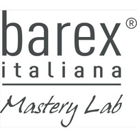 Barex Italiana srl logo - Similar company to Ecas4 Srl - Ingegneria Per L'Igiene E La Salute