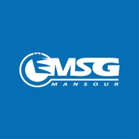 SARL EMSG Mansour logo - Similar company to Level Design