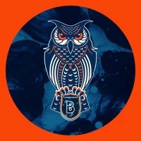 İstanbul Başakşehir Robotics logo - Similar company to Diract Guide
