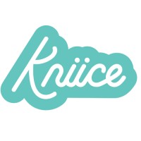 Kniice Consulting LLC logo - Similar company to Scaleredi Accounting Group
