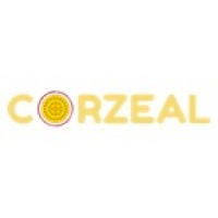 Corzeal Solutions logo - Similar company to Fundoze