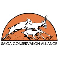 Saiga Conservation Alliance logo - Similar company to St’Át’Imc Government
