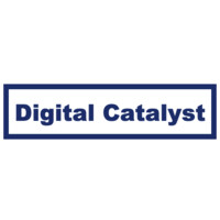 Digital Catalyst LLC - a Digital Consulting Partner logo - Similar company to Digital Catalyst