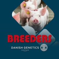 Breeders of Denmark A/S - Danish Genetics Partner logo - Similar company to Flyconcept, S.L.