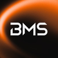 BMS Group logo - Similar company to Banco Bms
