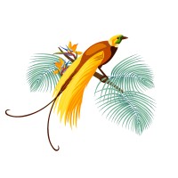 Native Vanilla logo - Similar company to Heilala Vanilla