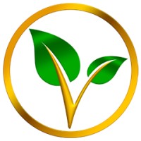 Vitae Official logo - Similar company to Dhs Club Tunise