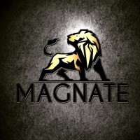 Magnate Advisory Group logo - Similar company to Digital Infrastructure Partners