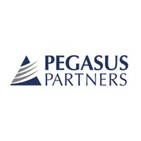 Pegasus Partners LLC logo - Similar company to Mck Services, Inc.