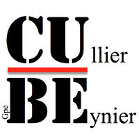 CUBE-TP logo - Similar company to Barthes Tp