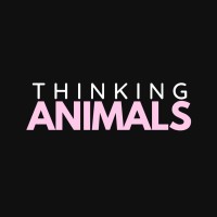 Thinking Animals logo - Similar company to For Your Consideration