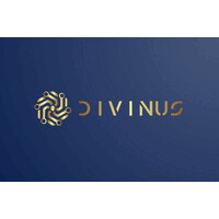 Divinus Techno logo - Similar company to Erp Ninjas