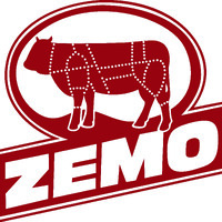 ZEMO Gebr. Moser GmbH logo - Similar company to Gl Technology Gmbh