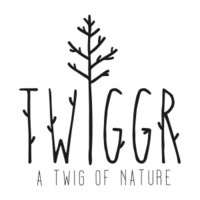 Twiggr Studio logo - Similar company to Best Computer Repair
