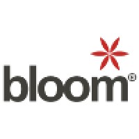 Bloom Egypt logo - Similar company to Dm