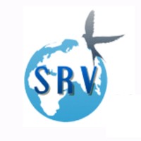SRV Global Freight Pvt Ltd logo - Similar company to Vsretail