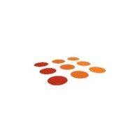 De Wit Beveiliging logo - Similar company to Safety 2 B.V.