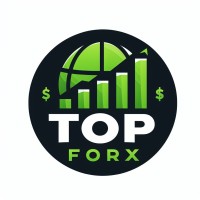 Top Forx logo - Similar company to Forx Security