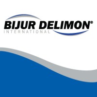 BIJUR DELIMON INTERNATIONAL - SPAIN logo - Similar company to 3D Egin S.C.P