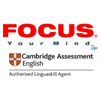 Focus your mind - Team Partner Project logo - Similar company to Focus Your Mind Perú