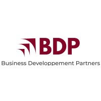 BDP - Business Development Partners logo - Similar company to Aemirius Consulting