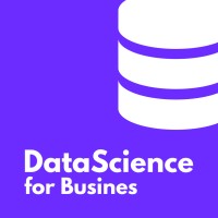 SKN Data Science for Business logo - Similar company to Skn Data Science For Business