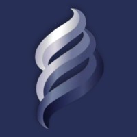 Silver Equity Investing logo - Similar company to Ivyoasis
