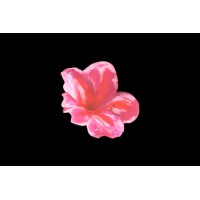 Azalea Interactive logo - Similar company to Mitiox