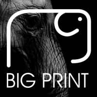 BIG PRINT logo - Similar company to Gestion Rh