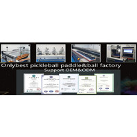 PickleballFactory logo - Similar company to Terrific Pickleball Paddle Co.，Ltd.