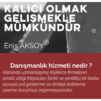 Enis Aksoy Consultancy @eaksoyconsult logo - Similar company to Sümerli̇ Tel Çekme Sanayi̇ A.Ş.