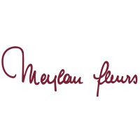 Meylan Fleurs SA logo - Similar company to Alblanc