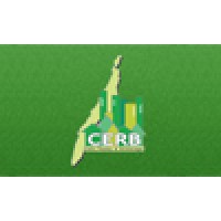 Cebu Realty And Brokerage