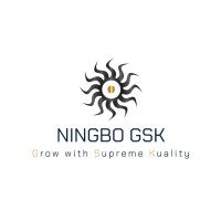 Ningbo GSK Automobile Parts Co., Ltd. logo - Similar company to Ningbo High-Tech Zone Tosion International Trade Co., Ltd.