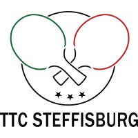 TTC Steffisburg logo - Similar company to Stammler Drivers