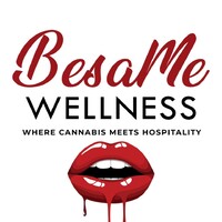 BesaMe Wellness logo - Similar company to Delphi Management Solutions