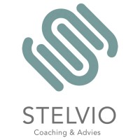 Stelvio Coaching & Advies logo - Similar company to Nandoe