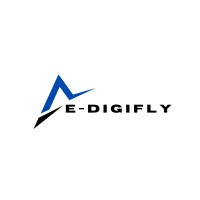 E-DigiFly logo - Similar company to Dawoodtech Nextgen