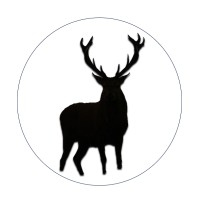 Patronus Energy LLC logo - Similar company to Ewa Direction