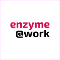 enzyme@work logo - Similar company to Limpid Consulting