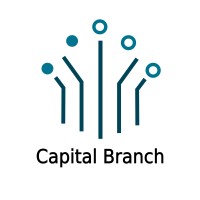Capital Branch SAS logo - Similar company to Disruptive Information Technologies