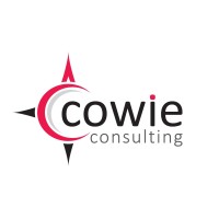 Cowie Consulting Ltd logo - Similar company to Bvalued Ltd - Chartered Valuation Surveyor & Certified Mediator, Cardiff Uk