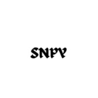 SNPY logo - Similar company to Fos Lighting