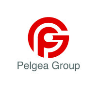Pelgea Group Namibia logo - Similar company to Unik Namibia
